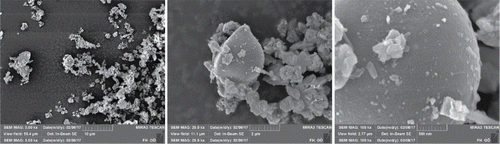 Figure 2. Microscopic images of particles from the finest size fraction.