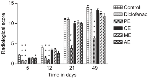Figure 2.  Anti-arthritic activity of Persea macrantha Nees. in adjuvant induced arthritic rats during different time periods (based on radiological scores). ***p < 0.001, **p < 0.01 and *p < 0.05 versus control.