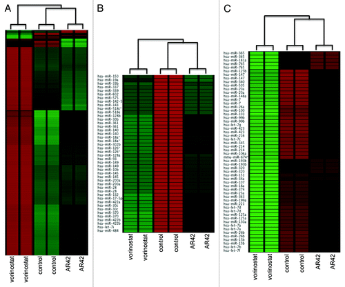 Figure 1. Unsupervised cluster analysis of (A) coding-gene expression (Nimblegen 385K Gene Expression); (B) downregulation of mature; and (C) upregulation of mature microRNAs. Microarray data (124-feature custom array)Citation71 was subjected to quantile normalizationCitation72 and unsupervised clustering performed using EXPANDER.Citation29