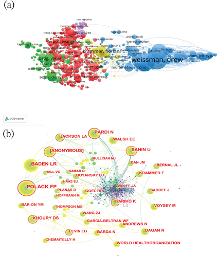 Figure 3. The collaboration of authors and co-cited authors in the field of mRNA vaccine. (a) Cooperation network among the authors. (b) Cooperation network among the co-cited authors.