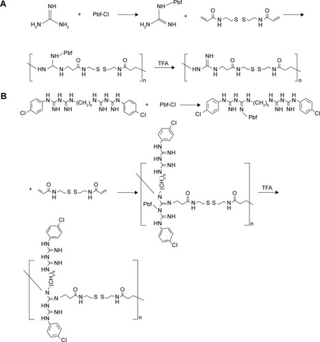 Figure 1 Schematic synthesis routes of CAR–CBA (A) and CHL–CBA (B).Abbreviations: CAR, guanidine hydrochloride; CHL, chlorhexidine; CBA, N,N′-cystamine bisacrylamide; TFA, trifluoroacetic acid.