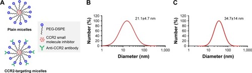 Figure 1 Structure and size of PEG-DSPE Micelles. (A) Schematics of CCR2-targeting and non-targeted but loaded micelles. (B) Hydrodynamic diameter of non-targeted (plain) and (C) CCR2-targeting micelles by dynamic light scattering.Abbreviation: PEG-DSPE, poly(ethylene glycol)-distearoylphosphatidylethanolamine.