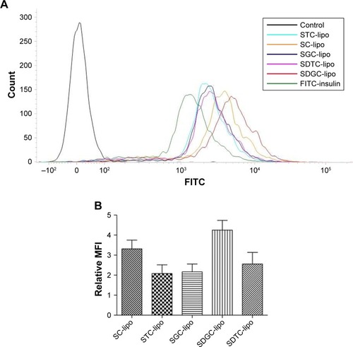 Figure 6 Representative fluorescence intensity (A), relative MFI values of FITC-insulin-loaded various elastic bilosomes compared with the relative MFI values of FITC-insulin alone (B).Note: Error bars represent SD (n=3).Abbreviations: FITC, fluorescein isothiocyanate; FITC-insulin, FITC-insulin solution; MFI, median fluorescence intensity; SC-lipo, sodium cholate-incorporated liposomes; SDGC-lipo, sodium deoxyglycocholate-incorporated liposomes; SDTC-lipo, sodium deoxytaurocholate-incorporated liposomes; SGC-lipo, sodium glycocholate-incorporated liposomes; STC-lipo, sodium taurocholate-incorporated liposomes.