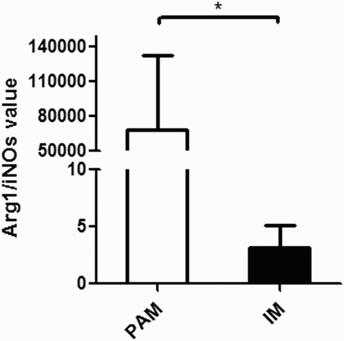 Figure 2. Arg1/iNOS in PAMs and IMs. The absolute Arg1/iNOS values (means ± s.e.m.) are represented by bars. Open bars: PAMs; filled bars: IMs. *p < .05.