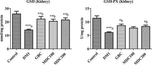 Figure 4. Effect of D. corderoyi extract on Glutathione reductase (GSH) and Glutathione Peroxidase (GSH-Px) in kidney of streptozotocin-induced diabetic rats. Data are expressed as mean ± SD. *** = p ≤ 0.001, ** = p ≤ 0.01, * = p ≤ 0.05 are the p values for sign.