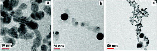 Figure 7. TEM image of the synthesised His–Ag NPs using MS method at different magnifications.