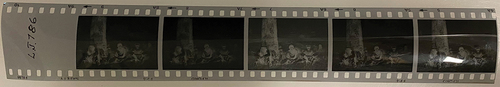 Figure 2. Strip of 35 mm negatives created in 1979. These multiple exposures show that this is the only image copied from the album, and how copying has cropped the image on the album page. Courtesy Queensland Museum LJ786.