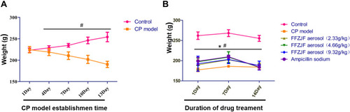 Figure 7 Changes of body weight of rats during modeling and administration.