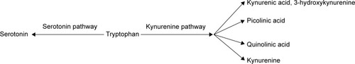 Figure 1 Kynurenine and serotonin pathway.