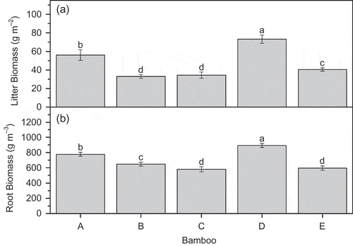 Figure 5 Litter biomass and root biomass of various bamboo forests (A = P. amabilis, B = A. edulis, C = D. vario-striata, D = D. oldhami, E = D. beecheyana var.pubescens). Error bars are standard deviation (SD). Different letters indicate significant differences (P < 0.05).