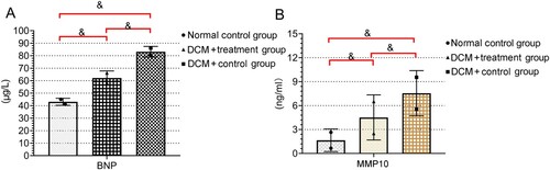 Figure 1. Levels of BNP and MMP10 in the three groups of rats The normal control group reported lower levels of BNP (A) and MMP10 (B) compared with the other groups (all P < 0.05). Both BNP and MMP10 were lower in the DCM + treatment group than the DCM + control group (& P < 0.05).