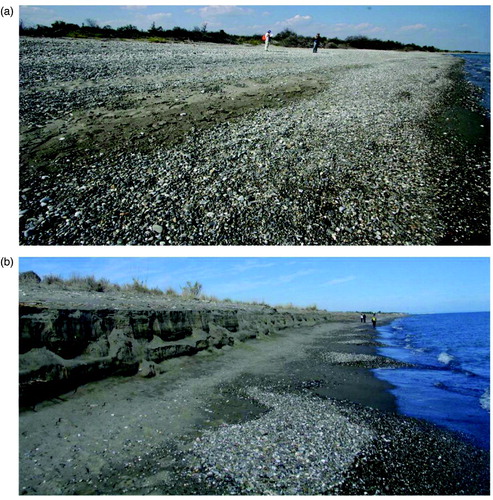 Figure 4. Morphology of a stretch of beach, North of the Sinni River mouth in September (a) and in December (b) 2010. Note the clear storm berm developed during winter 2010.