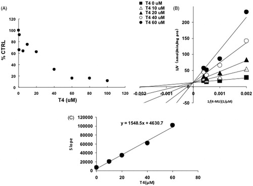Figure 7. Inhibition kinetics of T4 on the activity of UGT2B7. (A) Concentration-dependent inhibition of T4 on the activity of UGT2B7. Each data point represents the mean value of duplicate experiments. (B) Lineweaver–Burk plot to determine the inhibition kinetic type of T4 on UGT2B7. Each data point represents the mean value of duplicate experiments. (C) The second plot to determine the inhibition kinetic parameter (Ki). The vertical axis represents the slopes of the lines in the Lineweaver–Burk plot, and the horizontal axis represents the concentration of T4.