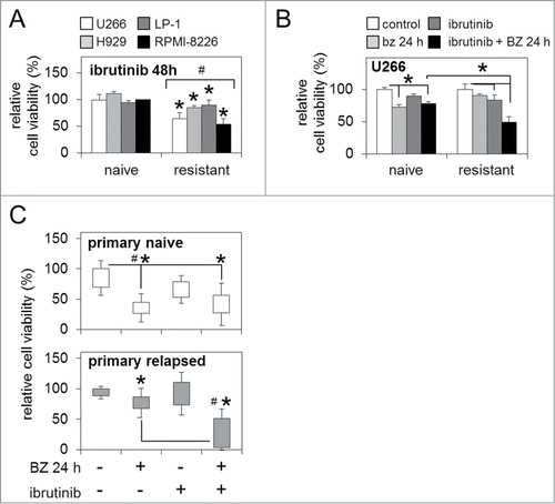 Figure 3. BTK inhibition enhances sensitivity to bortezomib in bortezomib-naïve and bortezomib-resistant MM cells. (A) Relative cell viability of bortezomib-naïve and bortezomib-resistant MM cell lines 48 h post-ibrutinib 'pulse' treatment. (B) Relative cell viability of bortezomib-naïve and bortezomib-resistant MM cells post-ibrutinib 'pulse' treatment in combination with bortezomib (5 nM/24 h). (C) Relative cell viability of primary naïve and primary relapsed MM patient samples post in vitro ibrutinib 'pulse' treatment in combination with bortezomib (5 nM/24 h). Statistical significance between treatments was calculated by Student's t test; * indicates p ≤ 0.05. Statistical significance between cohorts was calculated by ANOVA; # indicates P ≤ 0.01.