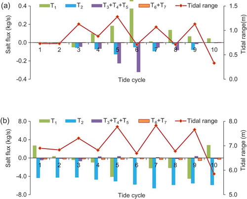 Figure 10. Salt fluxes and tidal ranges in each tide cycle at (a) Station A and (b) Station B.