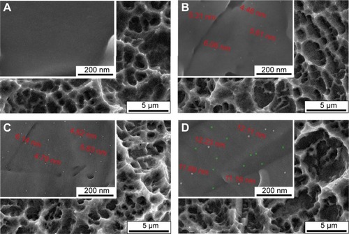 Figure 1 Surface microstructures of (A) SLA, (B) 30 min–15 Ag-PIII, (C) 60 min–15 Ag-PIII, and (D) 90 min–15 Ag-PIII detected by SEM at low and high magnifications, respectively.Notes: 30 min–15 Ag-PIII, titanium surfaces treated by first SLA procedure and then silver plasma immersion ion implantation at 15 kV for 30 minutes; 60 min–15 Ag-PIII, titanium surfaces treated by first SLA procedure and then silver plasma immersion ion implantation at 15 kV for 60 minutes; 90 min–15 Ag-PIII, titanium surfaces treated by first SLA procedure and then silver plasma immersion ion implantation at 15 kV for 90 minutes.Abbreviations: SLA, sand-blasted, large grit, and acid etched; Ag-PIII, silver plasma immersion ion implantation; SEM, scanning electron microscopy; min, minutes.