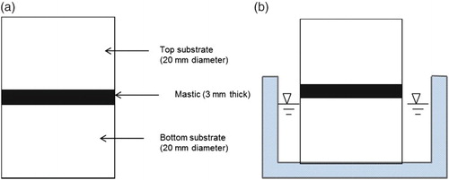 Figure 1. (a) Adhesion test specimen showing butt-jointed specimens consisting of 3-mm-thick asphalt mastic sandwiched between two 20-mm thick by 20 mm diameter aggregate substrates. (b) Specimen with bottom substrate partially submerged to ensure that water enters aggregate–mastic interface before entering bulk mastic material.