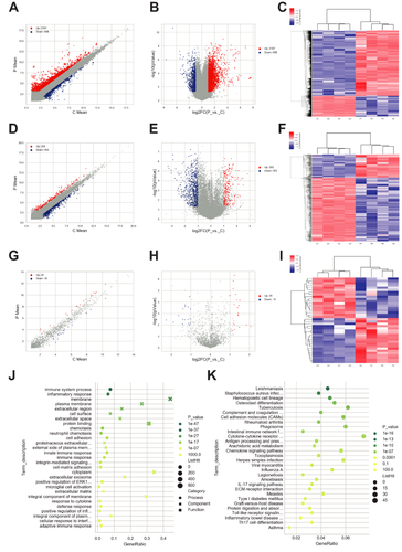 Figure 2 Analyzing the differentially expressed genes (DEGs) between prostate tissues derived from chronic nonbacteria prostatitis (CNP, n=4) and negative controls (n=4) and pathway enrichment.(A–C) Scatter diagram (A), volcano plot (B), and unsupervised hierarchical clustering (C) displayed the differentially expressed mRNAs between prostate tissues derived from CNP and negative controls; (D–F). Scatter diagram (D), volcano plot (E), and unsupervised hierarchical clustering (F) displayed the differentially expressed long noncoding RNAs (lncRNAs) between prostate tissues derived from CNP and negative controls; (G–I). Scatter diagram (G), volcano plot (H), and unsupervised hierarchical clustering (I) displayed the differentially expressed circular RNAs (circRNAs) between prostate tissues derived from CNP and negative controls.(J) Gene ontology (GO) analyses of the differentially expressed mRNAs between prostate tissues derived from CNP models and negative controls.(K) Kyoto Encyclopedia of Genes and Genomes (KEGG) analyses of the differentially expressed mRNAs between prostate tissues derived from CNP models and negative controls. Pathway list for (J): immune system process, inflammatory response, membrane, plasma membrane, extracellular region, cell surface, extracellular space, protein binding, chemotaxis, neutrophil chemotaxis, cell adhesion, proteinaceous extracellular matrix, external side of plasma membrane, innate immune response, immune response, integrin-mediated signaling pathway, cell-matrix adhesion, cytoplasm, cellular response to interferon-beta, extracellular exosome, positive regulation of ERK1 and ERK2 cascade, microglial cell activation, extracellular matrix, integral component of membrane, response to cytokine, defense response, positive regulation of inflammatory response, integral component of plasma membrane, cellular response to interferon-gamma, adaptive immune response. Pathway list for (K) Leishmaniasis, Staphylococcus aureus infection, Hematopoietic cell lineage, Osteoclast differentiation, Tuberculosis, Complement and coagulation cascades, Cell adhesion molecules (CAMs), Rheumatoid arthritis, Phagosome, Intestinal immune network for IgA production, Cytokine–cytokine receptor interaction, Antigen processing and presentation, Arachidonic acid metabolism, Chemokine signaling pathway, Toxoplasmosis, Herpes simplex infection, Viral myocarditis, Influenza A, Legionellosis, Amoebiasis, IL-17 signaling pathway, ECM-receptor interaction, Measles, Type I diabetes mellitus, Graft-versus-host disease, Protein digestion and absorption, Toll-like receptor signaling pathway, Inflammatory bowel disease (IBD), Th17-cell differentiation, and Asthma.