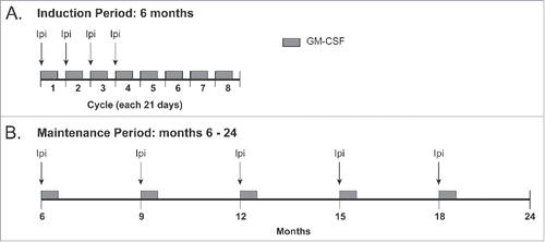 Figure 1. Treatment schema for induction period (6 mo) and maintenance period (months 6–24).