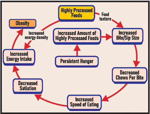Figure 1 Hypothesized scheme for the associations between highly processed foods, oral processing, energy density, persistent hunger and obesity.