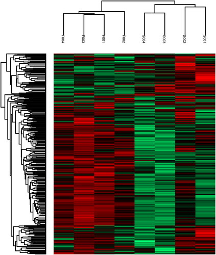 Figure 2. Hierarchical cluster analysis of the two groups. Samples were clustered based on the similarity of their protein expression profiles observed in log10 of the iTRAQ ratios and a dendrogram generated to indicate the relationship between the samples.