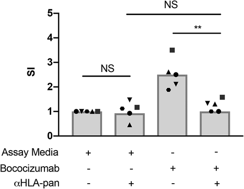 Figure 3. HLA-II presentation is required for a positive signal in the CD134/CD137 T cell activation assay. PBMCs were isolated from 5 human blood samples and incubated in the presence or absence of pan-HLA blocking antibody (αHLA-pan) and bococizumab for 2 days. The proportion of live CD4+ T cells positive for CD134 and CD137 was determined by flow cytometry, and SI was determined. The horizontal line represents the threshold for a positive response (SI ≥ 1.8). **p values < .005, paired t-tests