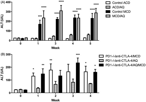 Figure 1. Mice treated with AQ in a MCD diet did not develop significantly greater liver injury than mice treated with MCD alone. (A) Wild-type C57BL/6 mice in four groups; control diet (Control ACD), control ACD diet with 0.2% AQ (ACD/AQ), MCD diet (Control MCD), and MCD diet with 0.2% AQ group (MCD/AQ). (B) PD1−/− mice in three groups; anti-CTLA-4 and MCD diet (PD1−/−/anti-CTLA-4/MCD), anti-CTLA-4 and control ACD diet with 0.2% AQ group (PD1−/−/anti-CTLA-4/AQ), and anti-CTLA-4 and MCD diet with 0.2% AQ group (PD1−/−/anti-CTLA-4/AQ/MCD). Values shown are means ± SE. Values significantly differ from one another at *p < 0.05, **p < 0.01, ***p < 0.001, and ****p < 0.0001 (analyzed using two-way ANOVA).