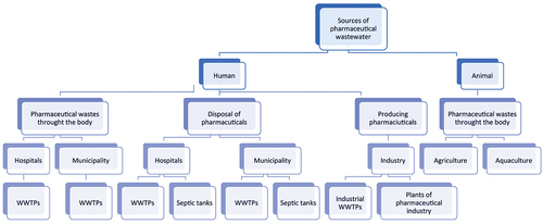 Figure 2. Sources of pharmaceutical residue in wastewater. WWTP = wastewater treatment plants