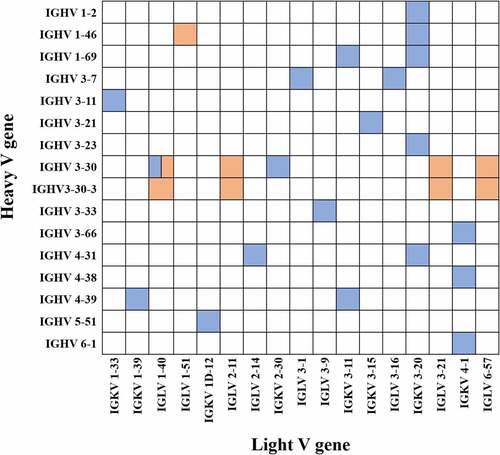 Figure 1. Gene-Type of SARS-CoV-2 S2-targeting antibodies. the antibodies described in this manuscript and public antibodies are shown in orange and blue colors, respectively.