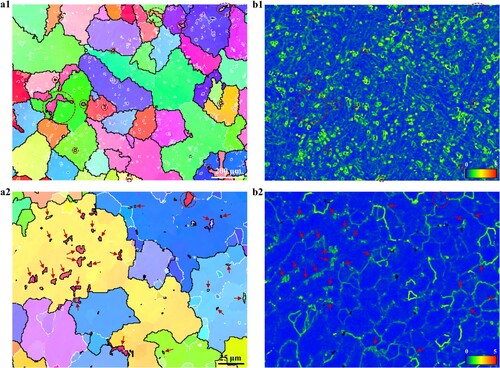 Figure 4. (a1) and (a2) EBSD IPF maps with drawn grain boundaries. The black and white lines denote HAGBs and LAGBs, respectively. (b1) and (b2) Corresponding KAM maps. (a1) and (b1) 0 T, (a2) and (b2) 9 T.