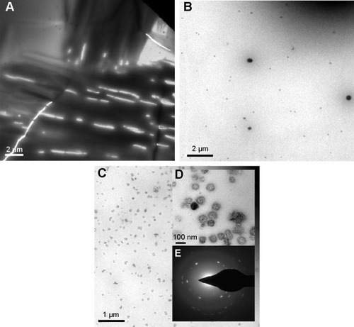 Figure 2 TEM images of Penicillin before and after the ultrasonic radiation.Notes: (A) TEM image of Penicillin bulk form, (B) TEM image of Penicillin NPs after 5-minute sonication, (C) TEM images of Penicillin NPs after 10-minute sonication, (D) an enlargement of TEM image of Penicillin NPs after 10-minute sonication, and (E) diffraction lines of individual Penicillin nanocrystal.Abbreviations: TEM, transmission electron microscopy; NPs, nanoparticles.