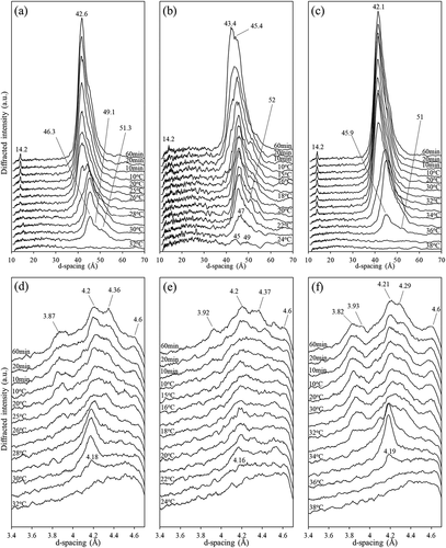 Figure 5. Time-dependent small- (top row) and wide-angle (bottom row) X-ray diffraction patterns of PS (a & d), LF (b & e), and SF (c & f) of PS (obtained from fractionation temperature of 35°C) when cooled from 60°C to 10°C followed by isothermal crystallization at 10°C for 1 h.
