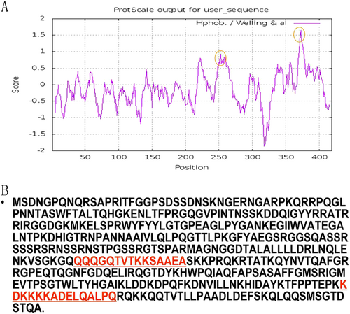 Fig. 5 Prediction of the antigenicity of the bat SL-CoV N protein.a The predicted antigenicity for the N protein. b Amino acid sequence of the N protein. The high antigenicity portion is indicated in the red circle. The two synthesized polypeptides are indicated in red