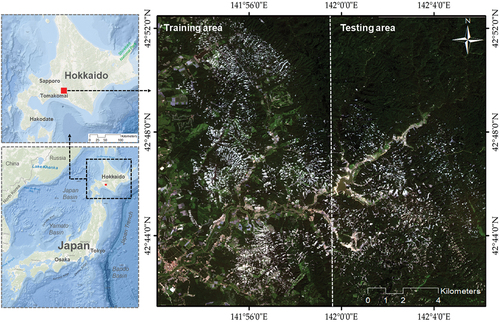 Figure 1. Overview of the study area of Eastern Iburi, Japan. The training and testing areas (used for the FCN model) are presented on the post-landslide Sentinel-2 image, band combination 4-3-2.