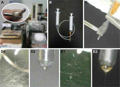 Figure 2 Implementations of the electrospinning processes.Notes: (A) The whole electrospinning system. Inset shows the homemade coaxial spinneret; (B) the connections of spinneret with the syringes; (C) linkage of spinneret with the power supply; (D1 and D2) typical images of the single-fluid blending electrospinning process and Taylor cone for preparing HC, respectively; and (E1 and E2) typical images of the modified coaxial electrospinning process for fabricating SC.Abbreviations: HC, hydrophilic nanocomposites; SC, structural nanocomposite.
