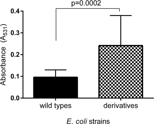 Figure 5. The comparison of the biofilm formation between the wild types and derivatives (amoxicillin-induced) of E. coli strains No. 5 and No. 6. Each bar represents the mean with standard deviation based on the OD value of the absorbed crystal violet (0,3%) measured at 531 nm (A531) for each strain from particular groups (wild types and derivatives). The study was performed in four replications in two independent experiments. The difference is significant (p < 0.05, unpaired T-test, two-tailed, nonparametric).