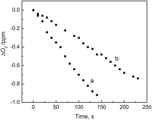 Figure 3. Consumed oxygen vs. irradiation time in MeOH–H2O (1:1, v/v) solution. Solutions were irradiated with visible light (>400 nm) under air-saturated conditions in the presence of 0.04 mM Rf: (a) with SFU 0.4 mM and (b) with SFU 0.4 mM plus 14 µg/ml SOD.