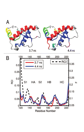 Figure 9 (A) Dynamical domains for turtle prion protein (tPrP) identified from a MD trajectory at times indicated by the subscripts. The meaning of colors is as in Figure 3. (B) Flexibility profiles at times indicated in the legend box. The dashed curve shows the experimental RCI profile from 2(g). More examples for dynamical domains and flexibility profiles in turtle prion protein are given in Figures S13 and S14, respectively.