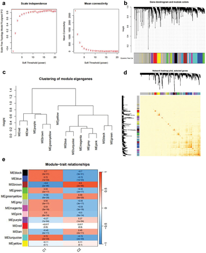 Figure 6. WGCNA co-expression analysis of Cluster1 and Cluster2-related genes.