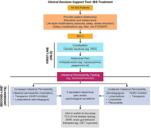 Figure 2 Clinical treatment decision guide for IBS-C.