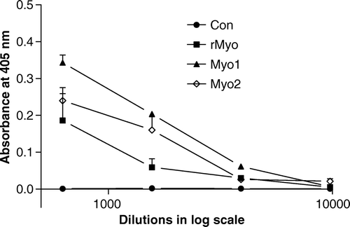 Figure 1.  Sera titres of immunised female mice before mating. Alkaline phosphatase conjugated anti-mice IgG and p-nitrophenyl phosphate (PNPP) were used in indirect ELISA, and recombinant unprocessed porcine myostatin was used as a coating antigen.