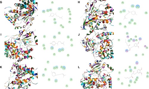 Figure 6 Binding modes of main active components of ginger in human CYP3A4 (PDB code 1W0F).