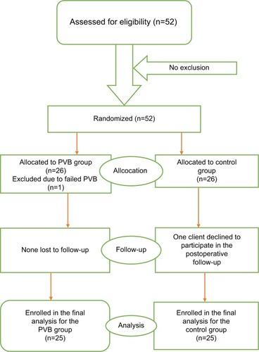 Figure 2 CONSORT patient flow diagram.