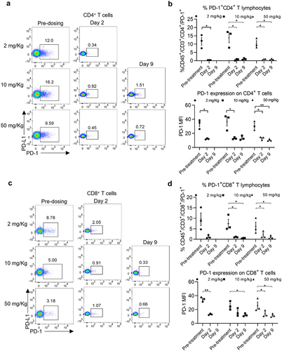 Figure 7. CTX-8371-mediated loss of PD-1 on peripheral T lymphocytes of cynomolgus monkeys. (a, c) Representative dot plots of monkey PD-1+ CD4+ and CD8+ T cells at pre-treatment and on days 2 and 9 after CTX-8371 dosing. (b, d) peripheral blood PD-1+ CD4+ and CD8+ T cell frequencies and PD-1 MFI in all monkeys (mean ± SEM, n = 3). **, p < 0.001, *, p < 0.05, one-way ANOVA and Dunnett’s multiple comparisons test.