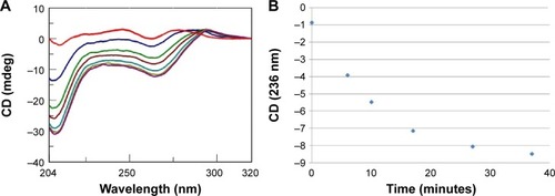 Figure 2 (A) CD spectra (T=15°C) for a solution of poly rI/poly rC (8 nmol in rI/rC) and AOL (43 nmol –NH3+) in 1× PBS buffer (pH 7.4) before (Display full size) and after (Display full size) complexation and at different time points (6 Display full size, 10 Display full size, 17 Display full size, 27 Display full size, and 37 Display full size minutes) after mixing. (B) Variation of the CD values recorded at 236 nm for the AOL/poly I:C complex in 1× PBS buffer (pH 7.5) as function of time.Abbreviations: AOL, artificial oligolysine; CD, circular dichroism; PBS, phosphate-buffered saline; poly I:C, complex of poly rI with poly rC; poly rI, polyinosinic acid.