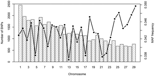 Figure 1. Distribution of single nucleotide polymorphisms (SNPs) (left y axis) and average minor allele frequency (MAF) frequency (right y axis) across autosomes.