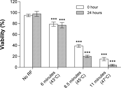 Figure 9 Viability of B16F1 cells at 0 hours and 24 hours after a single cycle of RF-induced dextran-coated LSMO-mediated hyperthermia. ***P<0.001, one-way analysis of variance followed by Dunnett’s test.Abbreviations: LSMO, La0.7Sr0.3MnO3; RF, radiofrequency.