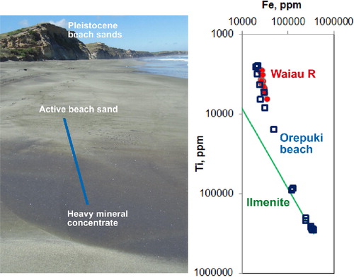 Figure 3 Photograph of part of Orepuki Beach, with a heavy mineral concentration veneer in the foreground, with Fe and Ti data (from handheld XRF) gathered along the indicated line. The green line on graph indicates the Fe/Ti ratio of ilmenite, culminating in pure ilmenite at the bottom of that line.