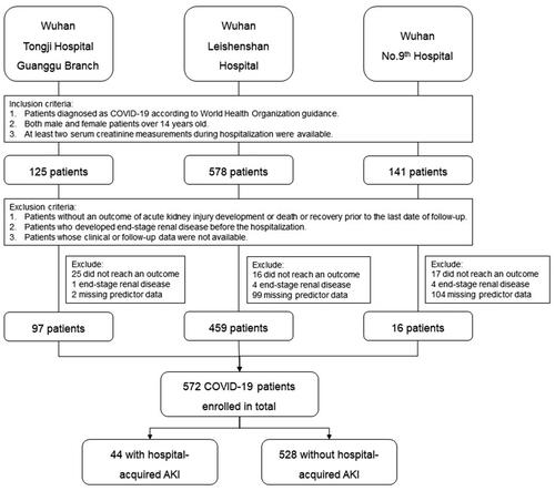 Figure 1. The flowchart of the enrolled patients.