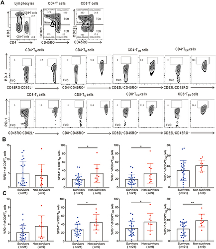 Figure 1 PD-1 expression on memory T cells was associated with 28-day mortality in septic patients. (A) Gating strategy used for flow cytometric analysis. (B) Percentage of PD-1 expression on naive CD4+ T cells, memory CD4+ T cells, central memory CD4+ T cells and effector memory CD4+ T cells between survivors and nonsurvivors. (C) Percentage of PD-1 expression on naive CD8+ T cells, memory CD8+ T cells, central memory CD8+ T cells and effector memory CD8+ T cells between survivors and nonsurvivors. *p < 0.05, **p < 0.01.